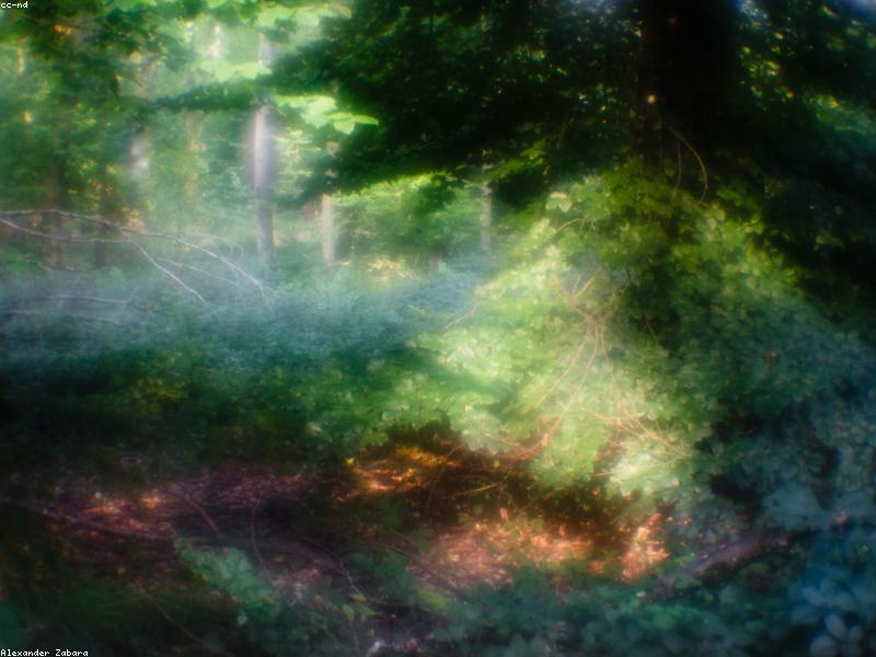 Trafik Cezalarına Zam Geldi